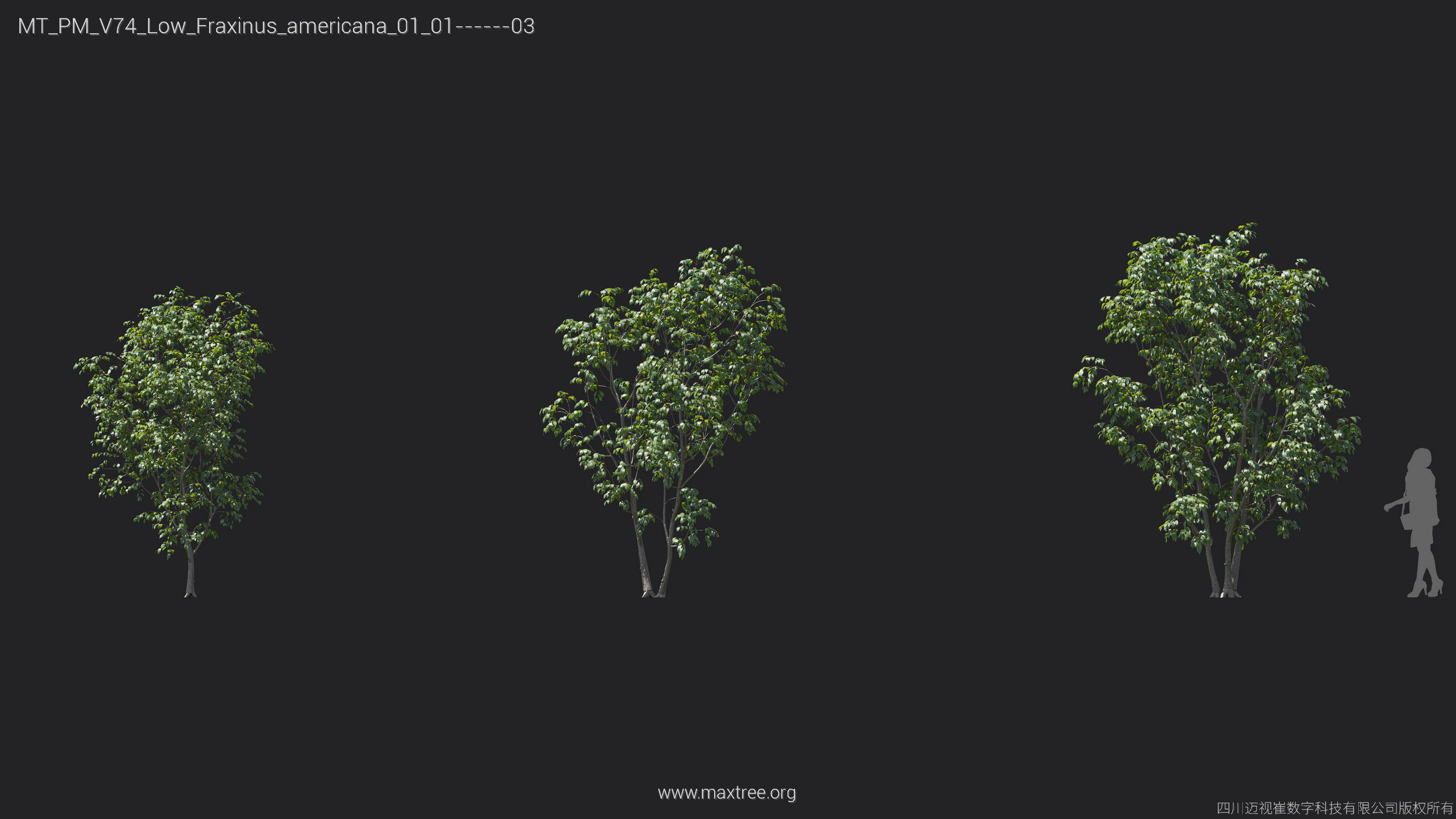 Maxtree Plant Models Vol 74 Low Poly - Mesh 3D model_17