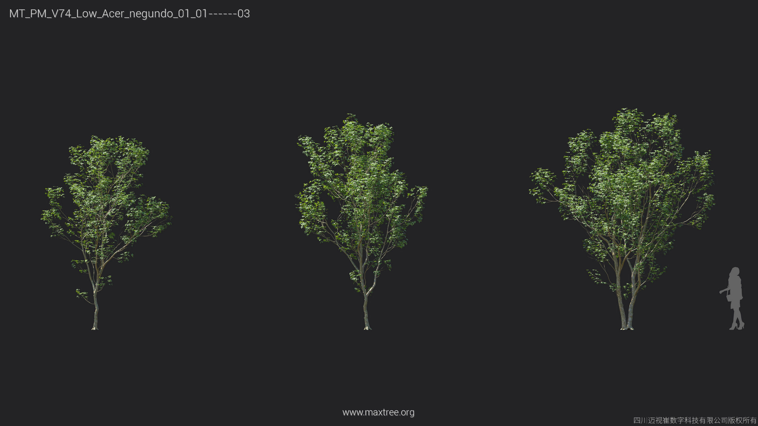 Maxtree Plant Models Vol 74 Low Poly - Mesh 3D model_7