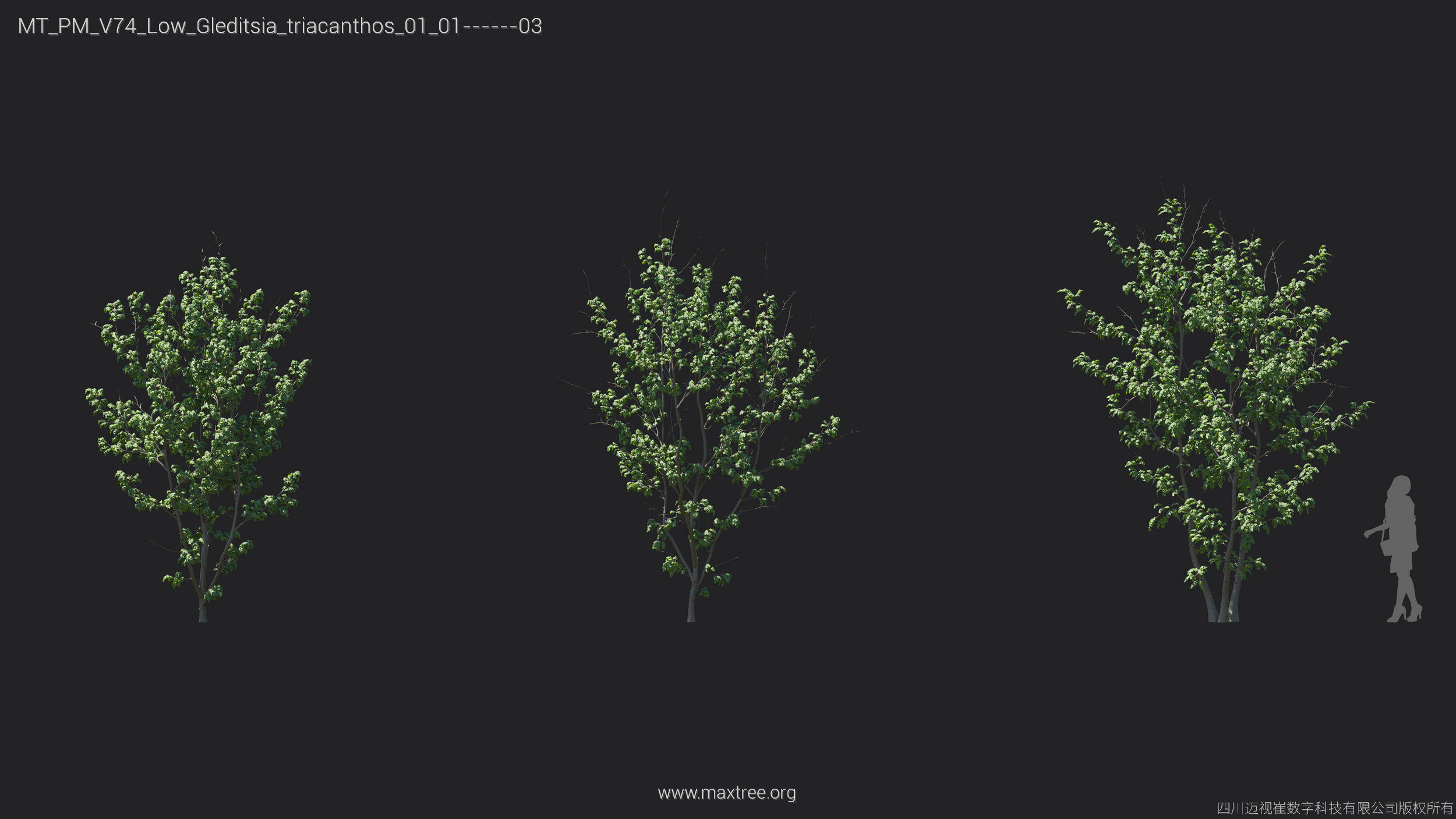 Maxtree Plant Models Vol 74 Low Poly - Mesh 3D model_21