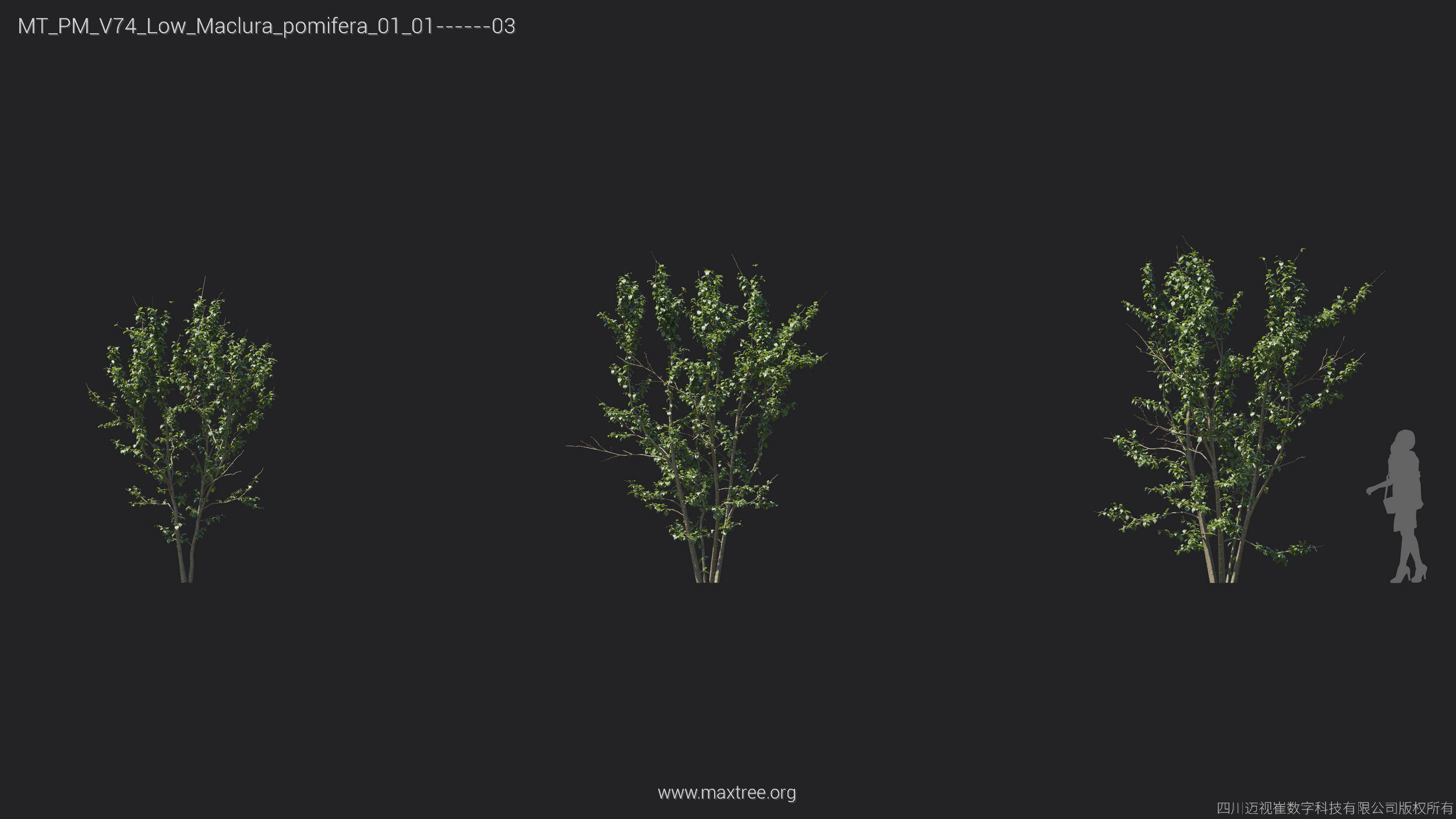 Maxtree Plant Models Vol 74 Low Poly - Mesh 3D model_23