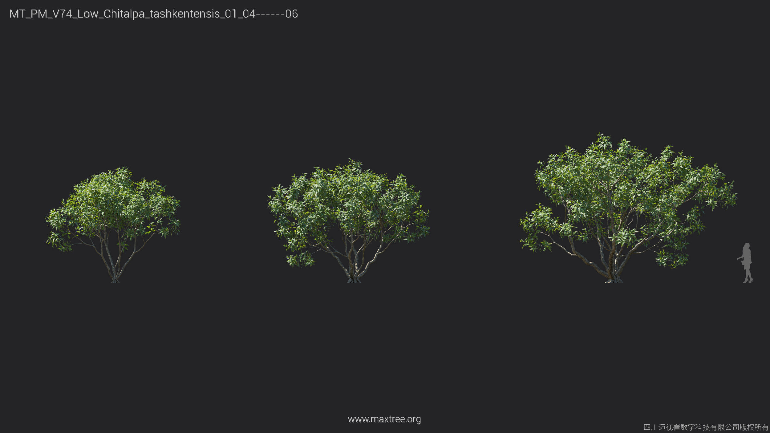 Maxtree Plant Models Vol 74 Low Poly - Mesh 3D model_14