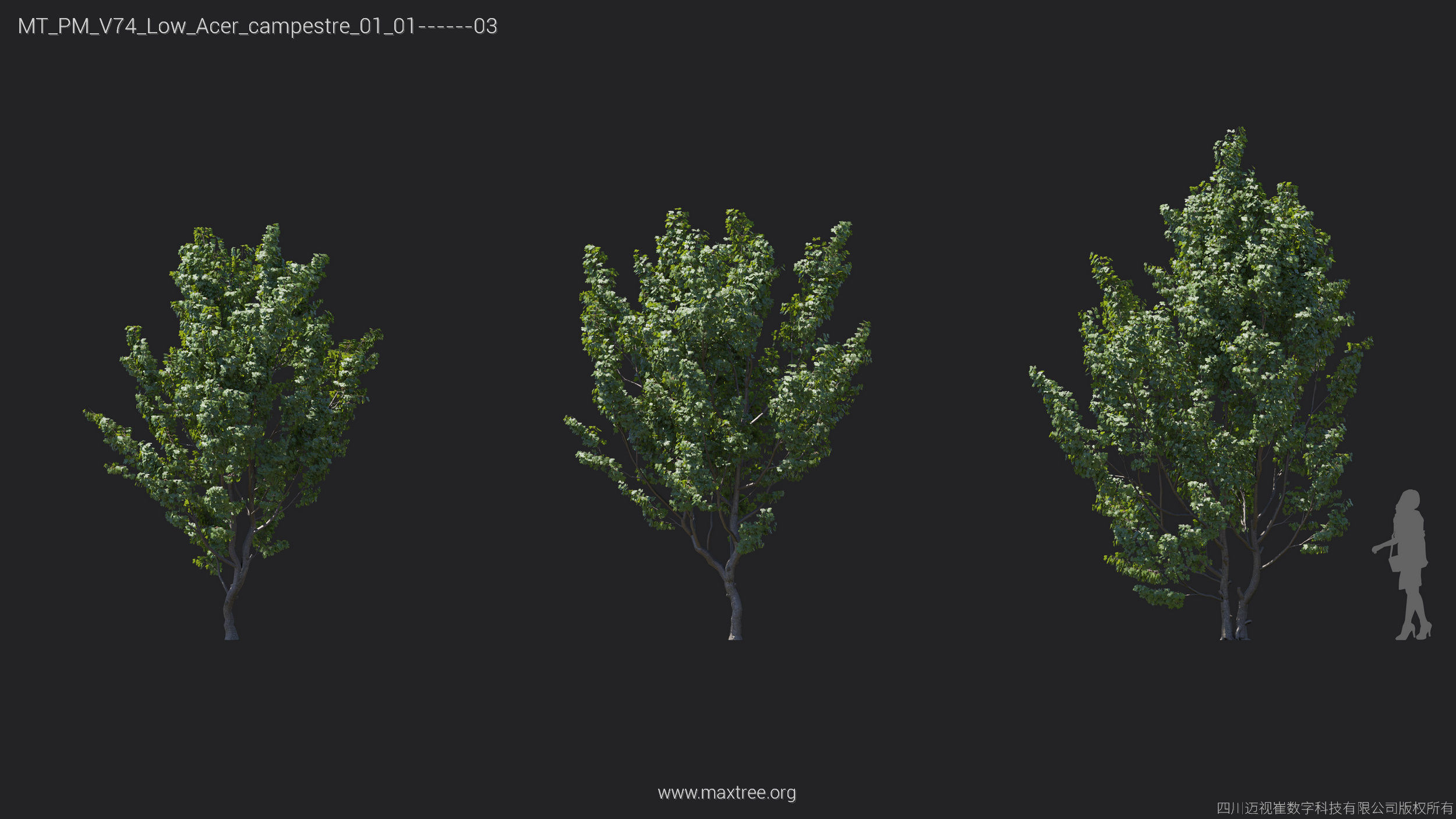 Maxtree Plant Models Vol 74 Low Poly - Mesh 3D model_5