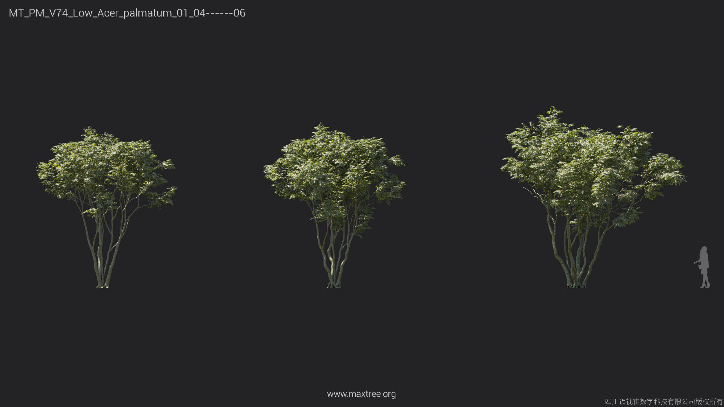 Maxtree Plant Models Vol 74 Low Poly - Mesh 3D model_11