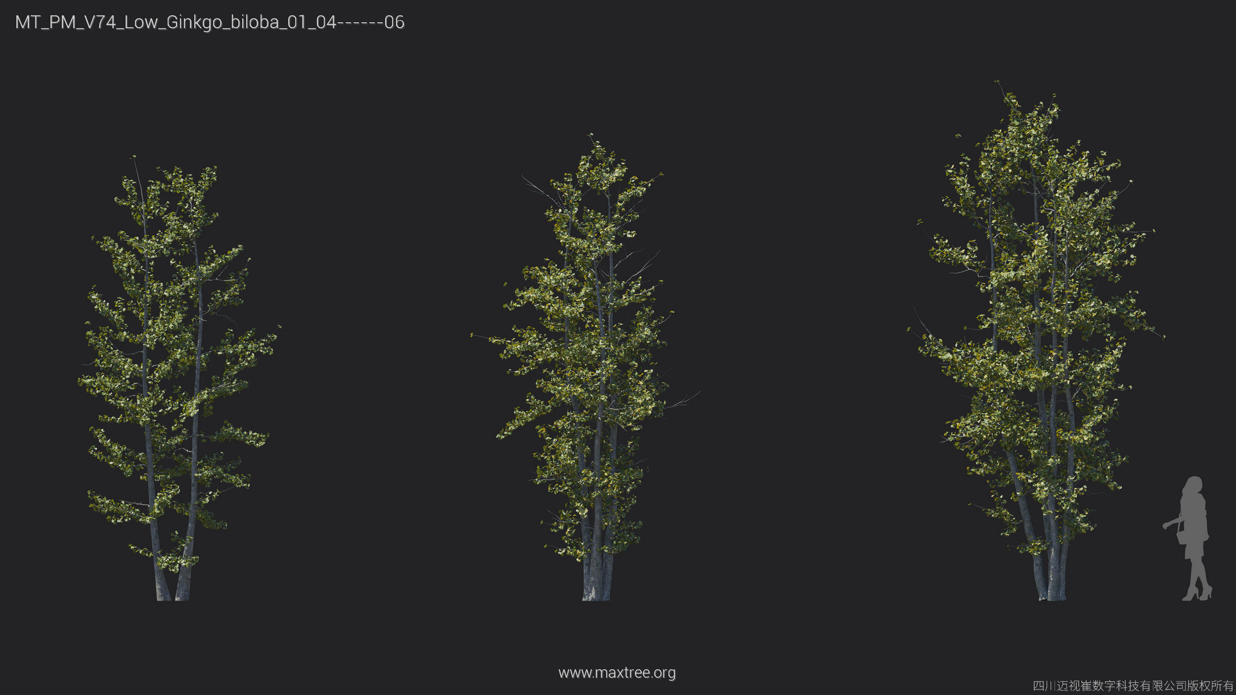 Maxtree Plant Models Vol 74 Low Poly - Mesh 3D model_20