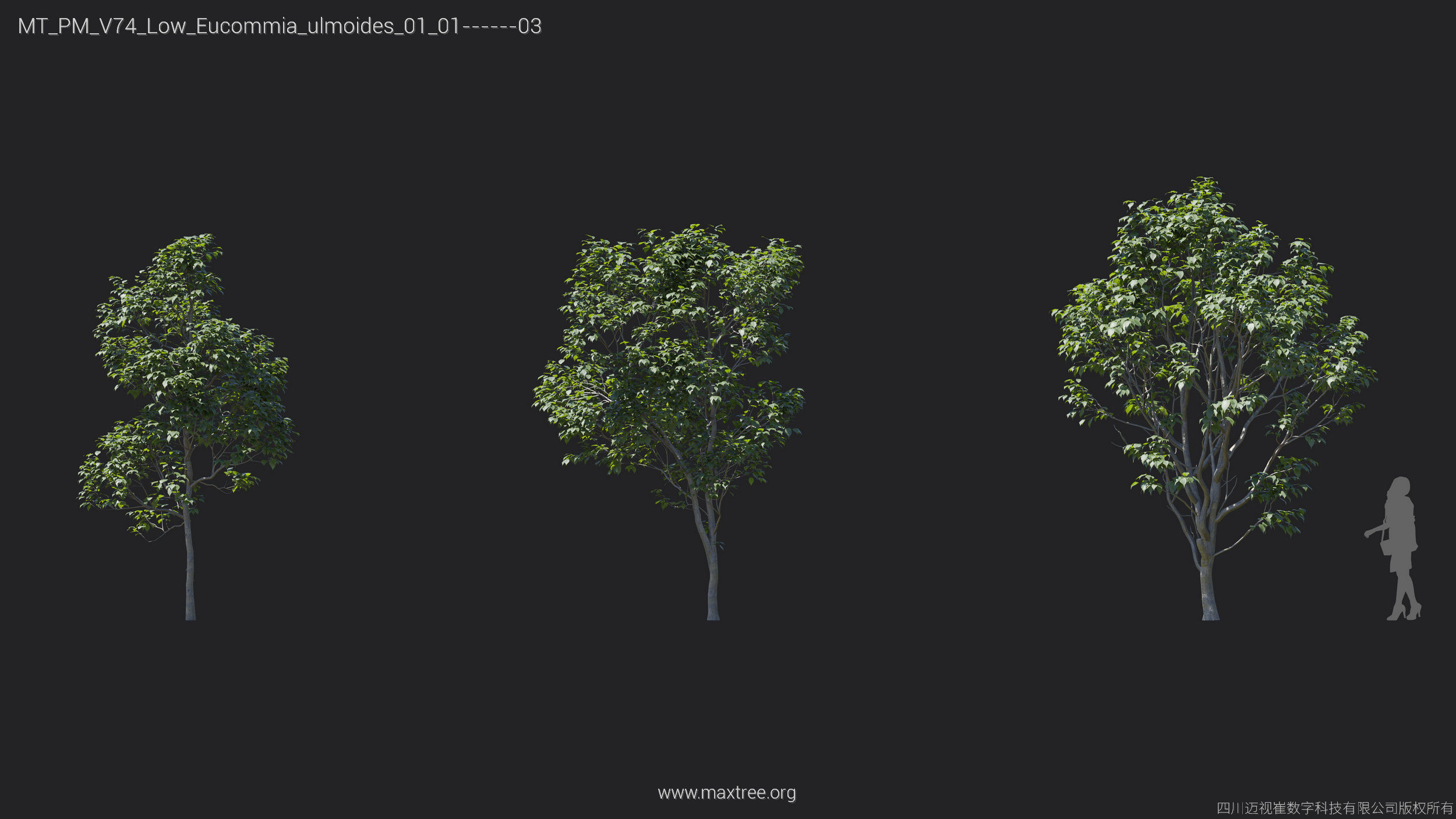 Maxtree Plant Models Vol 74 Low Poly - Mesh 3D model_15