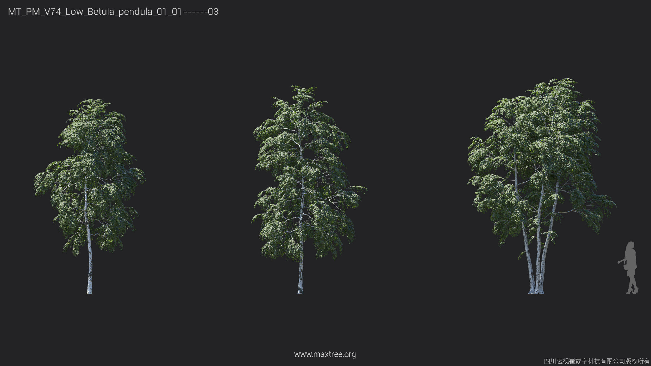 Maxtree Plant Models Vol 74 Low Poly - Mesh 3D model_12