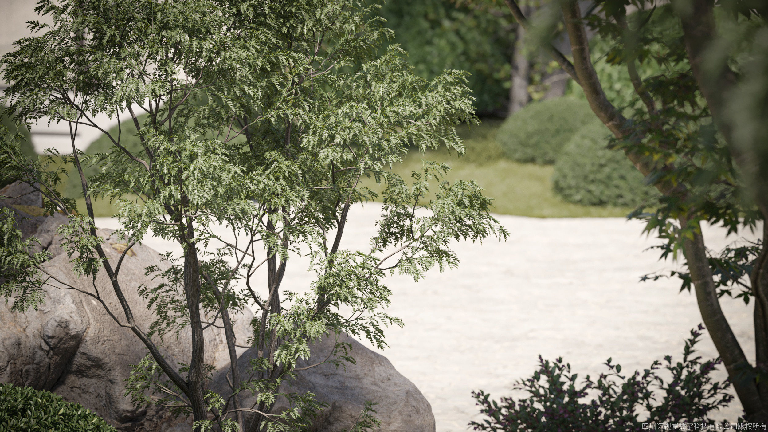 Maxtree Plant Models Vol 74 Low Poly - Mesh 3D model_1