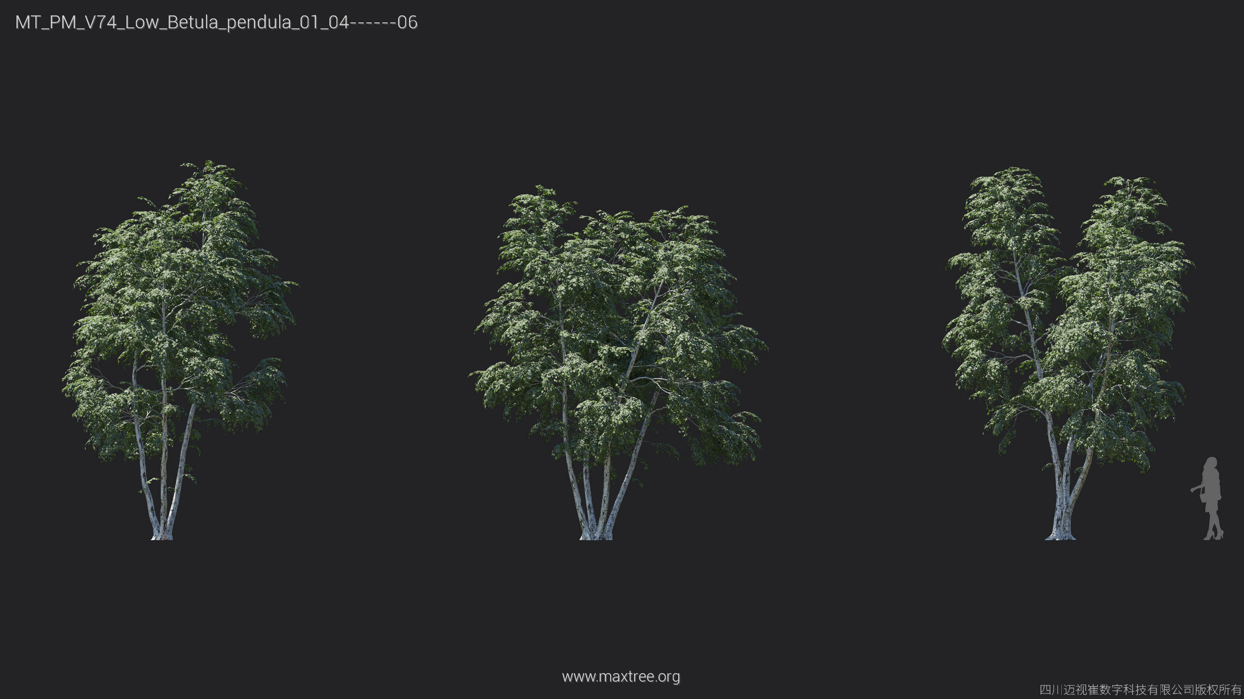 Maxtree Plant Models Vol 74 Low Poly - Mesh 3D model_13