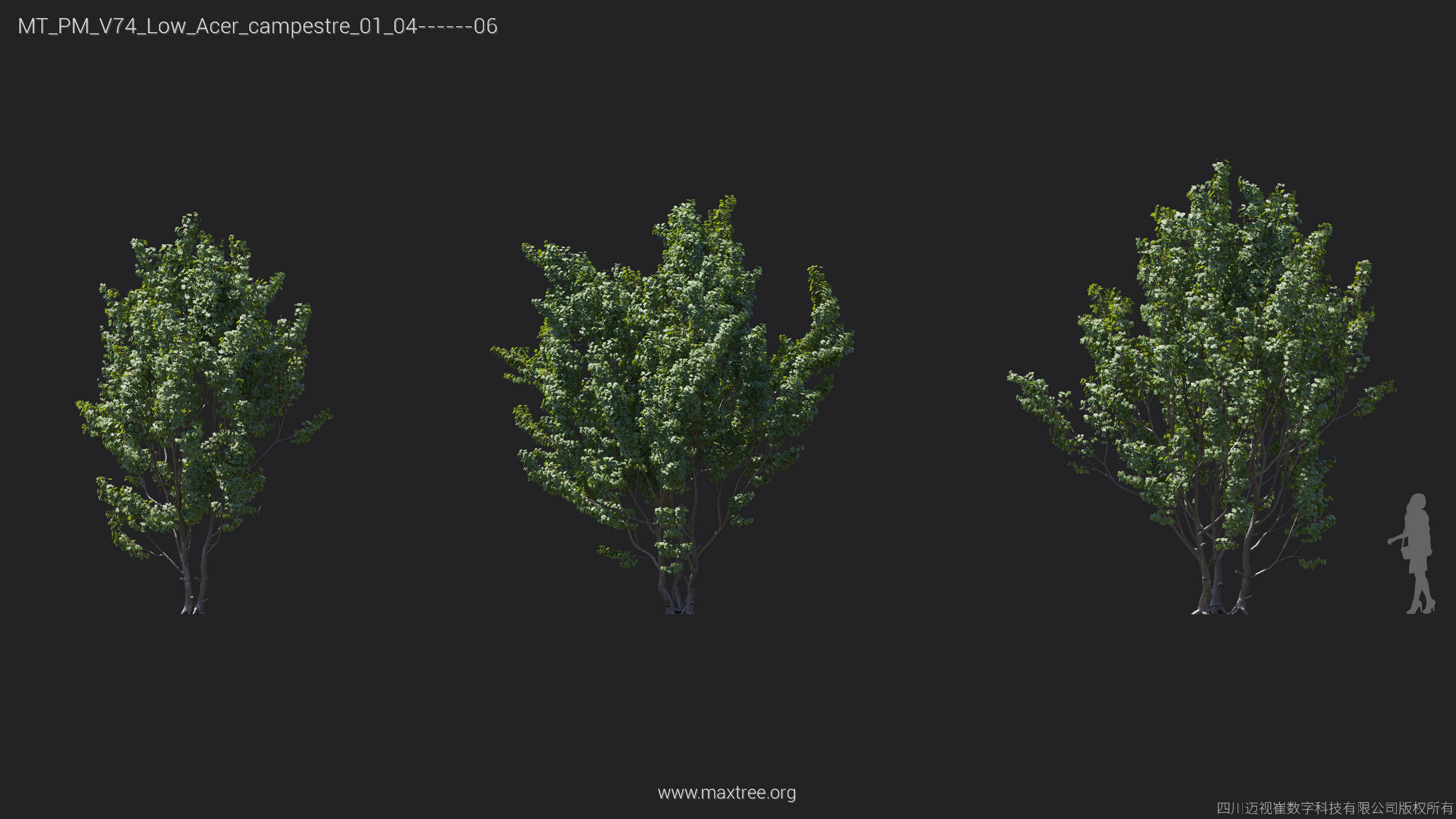 Maxtree Plant Models Vol 74 Low Poly - Mesh 3D model_6