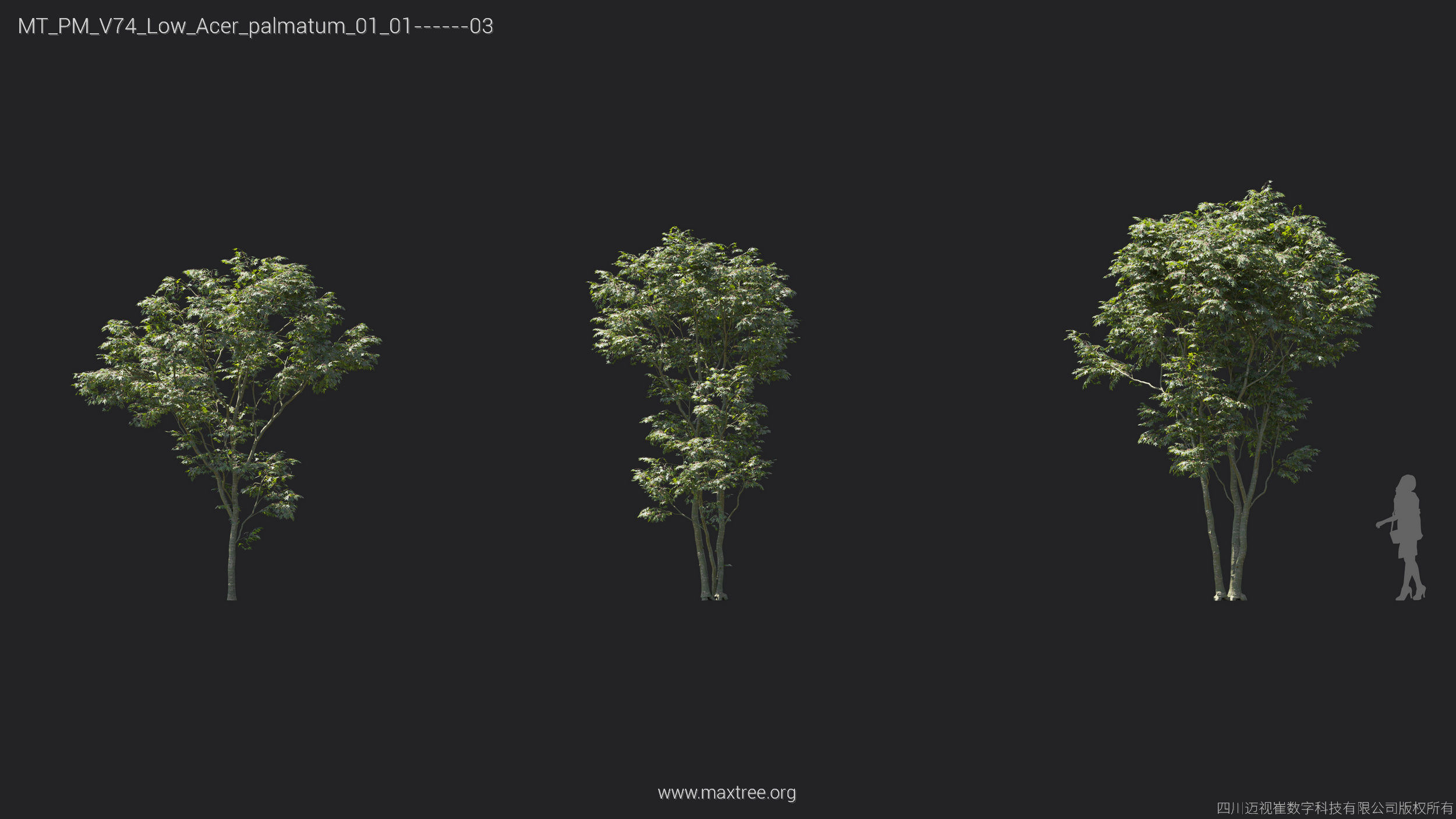 Maxtree Plant Models Vol 74 Low Poly - Mesh 3D model_10