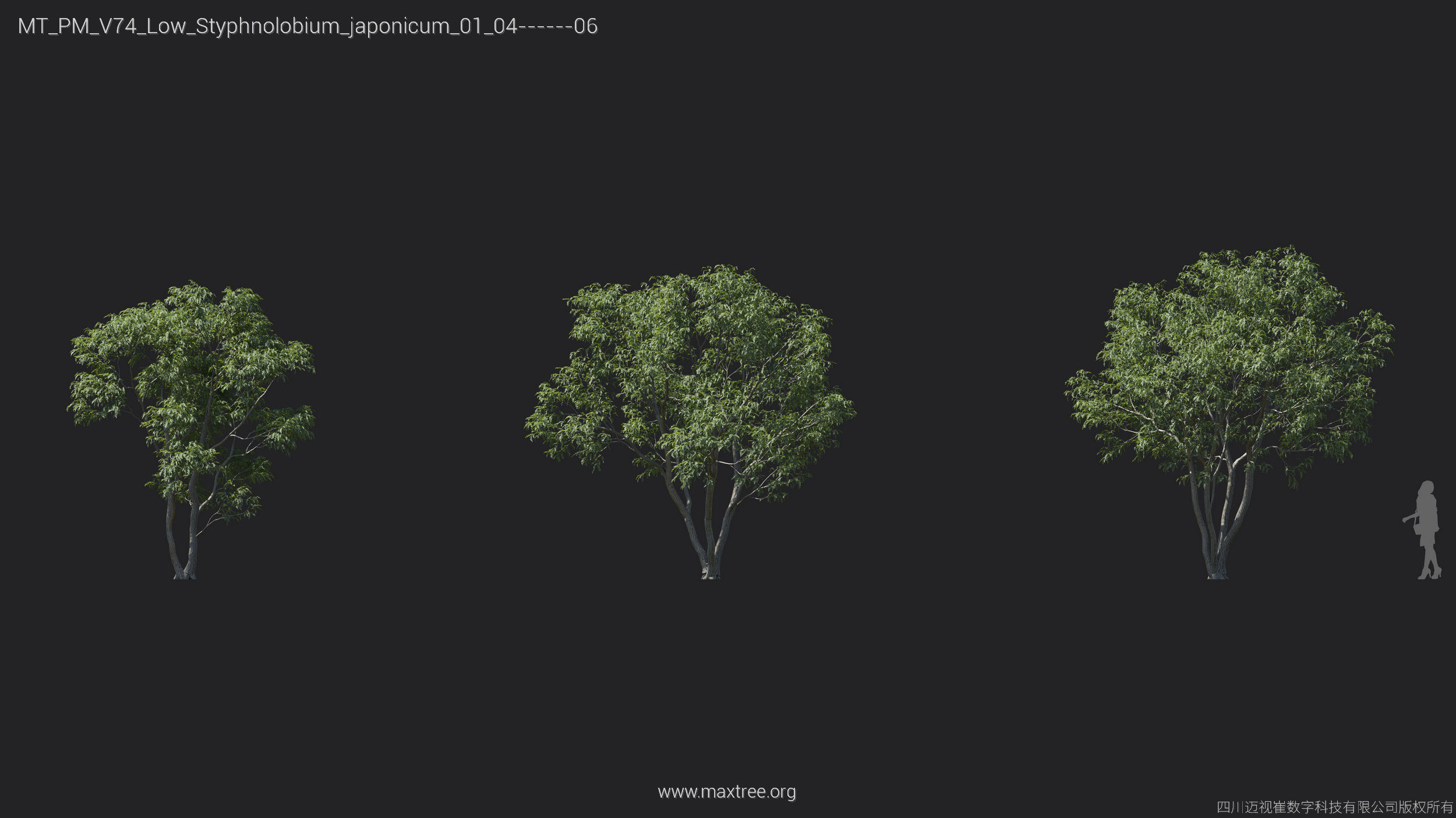 Maxtree Plant Models Vol 74 Low Poly - Mesh 3D model_26