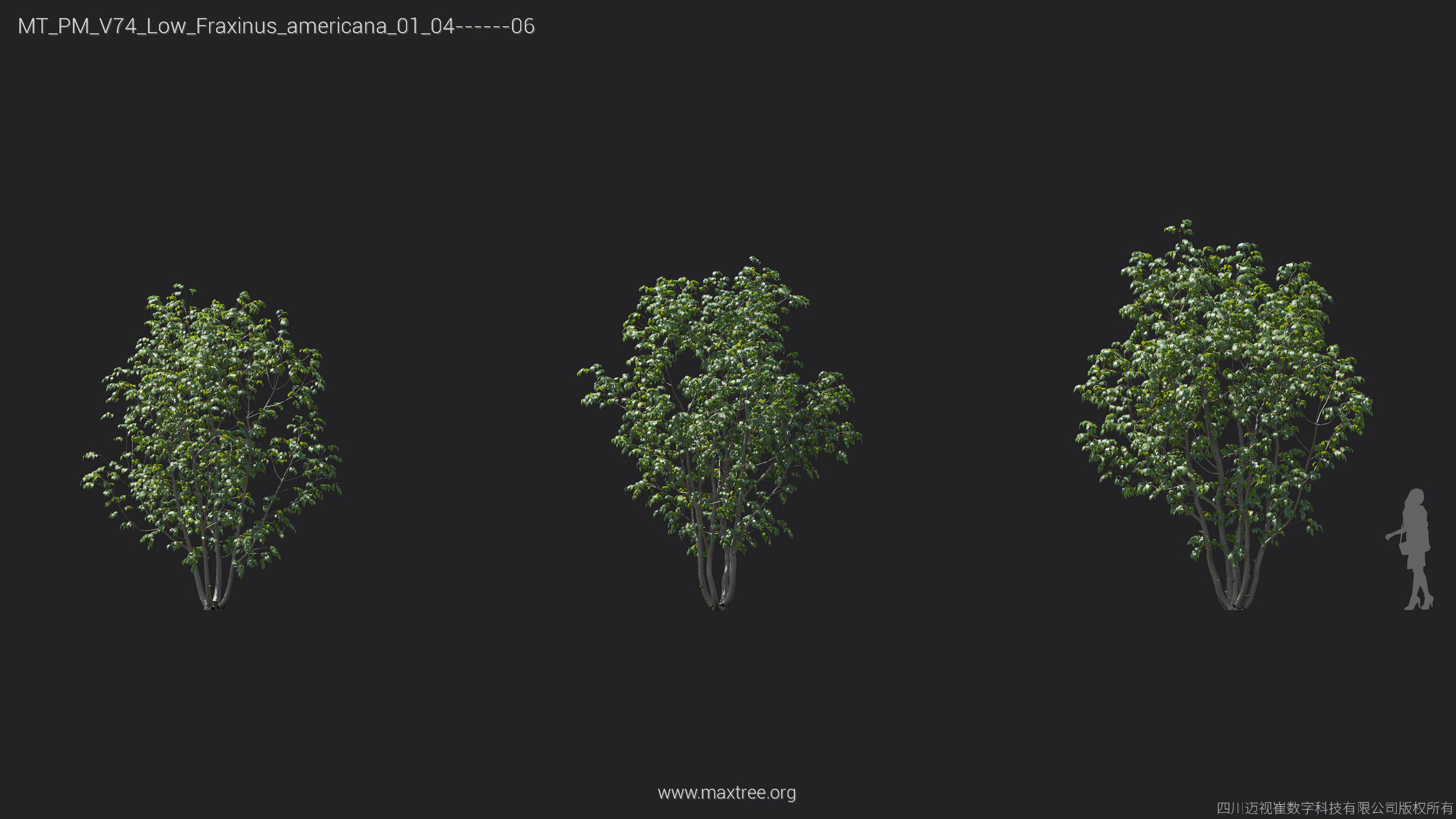 Maxtree Plant Models Vol 74 Low Poly - Mesh 3D model_18