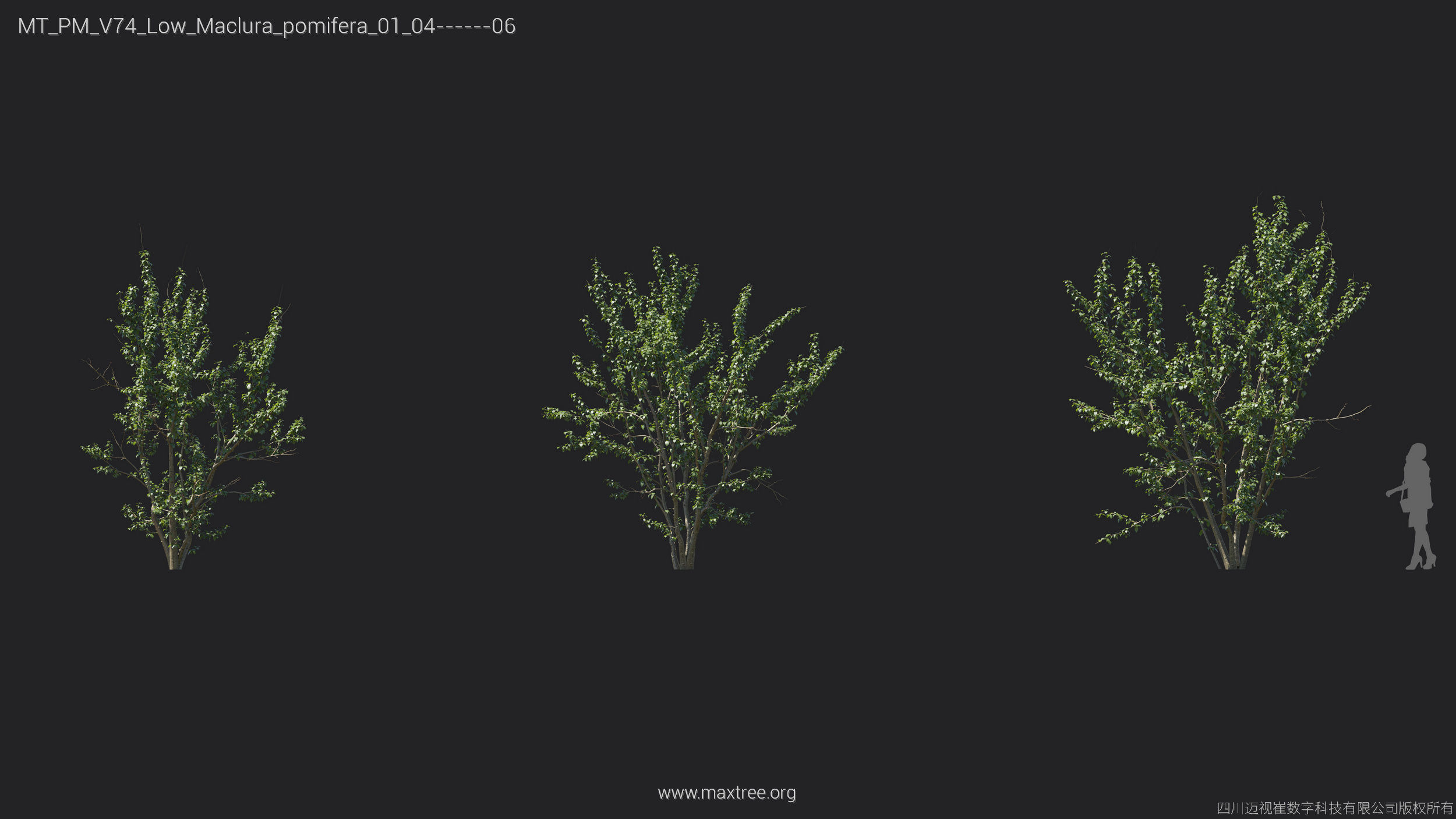 Maxtree Plant Models Vol 74 Low Poly - Mesh 3D model_24