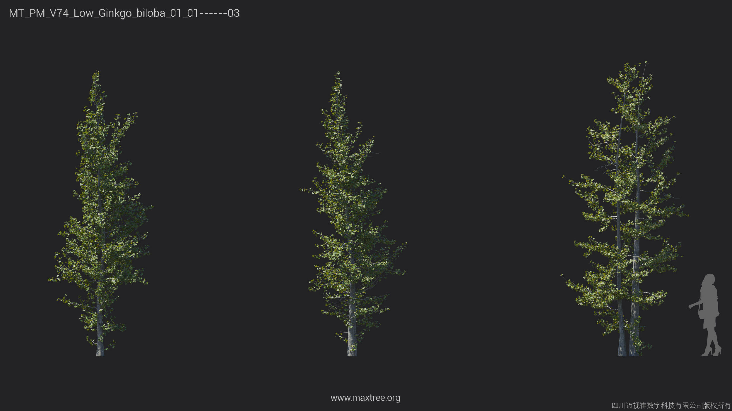 Maxtree Plant Models Vol 74 Low Poly - Mesh 3D model_19