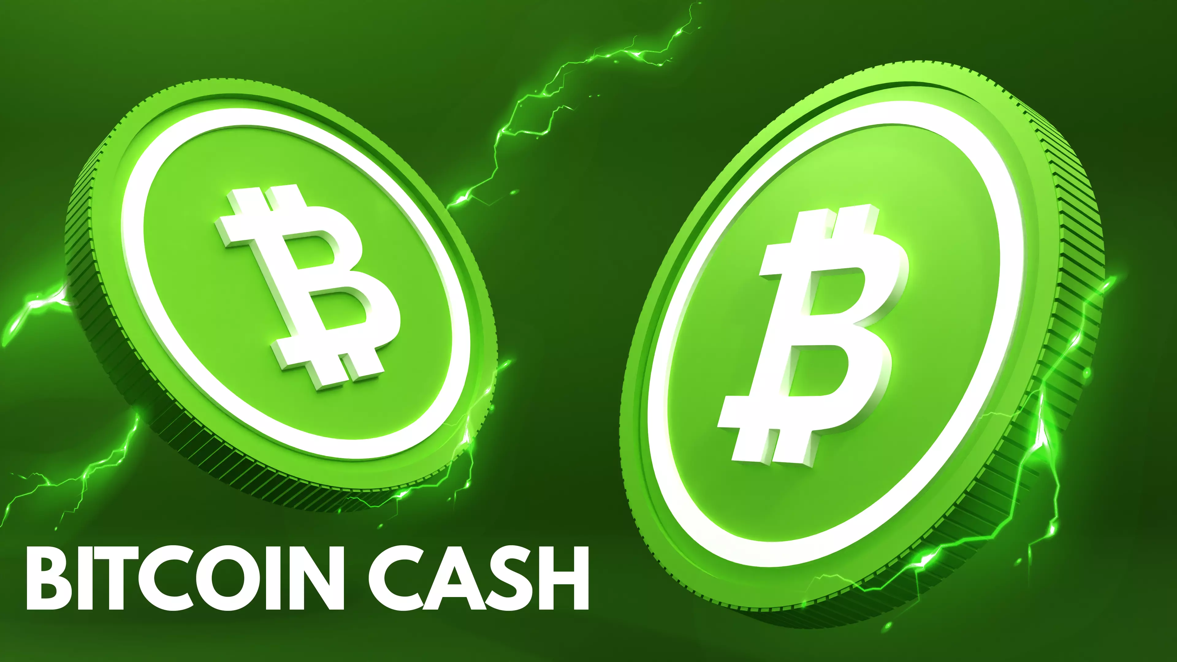 Bitcoin Cash 3D Model 3D model_0