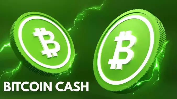 Bitcoin Cash 3D Model