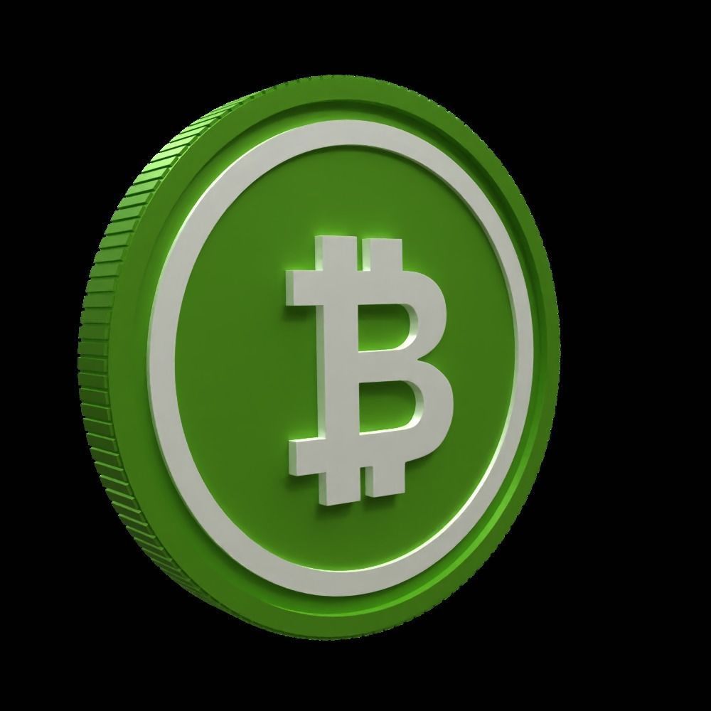 Bitcoin Cash 3D Model 3D model_3