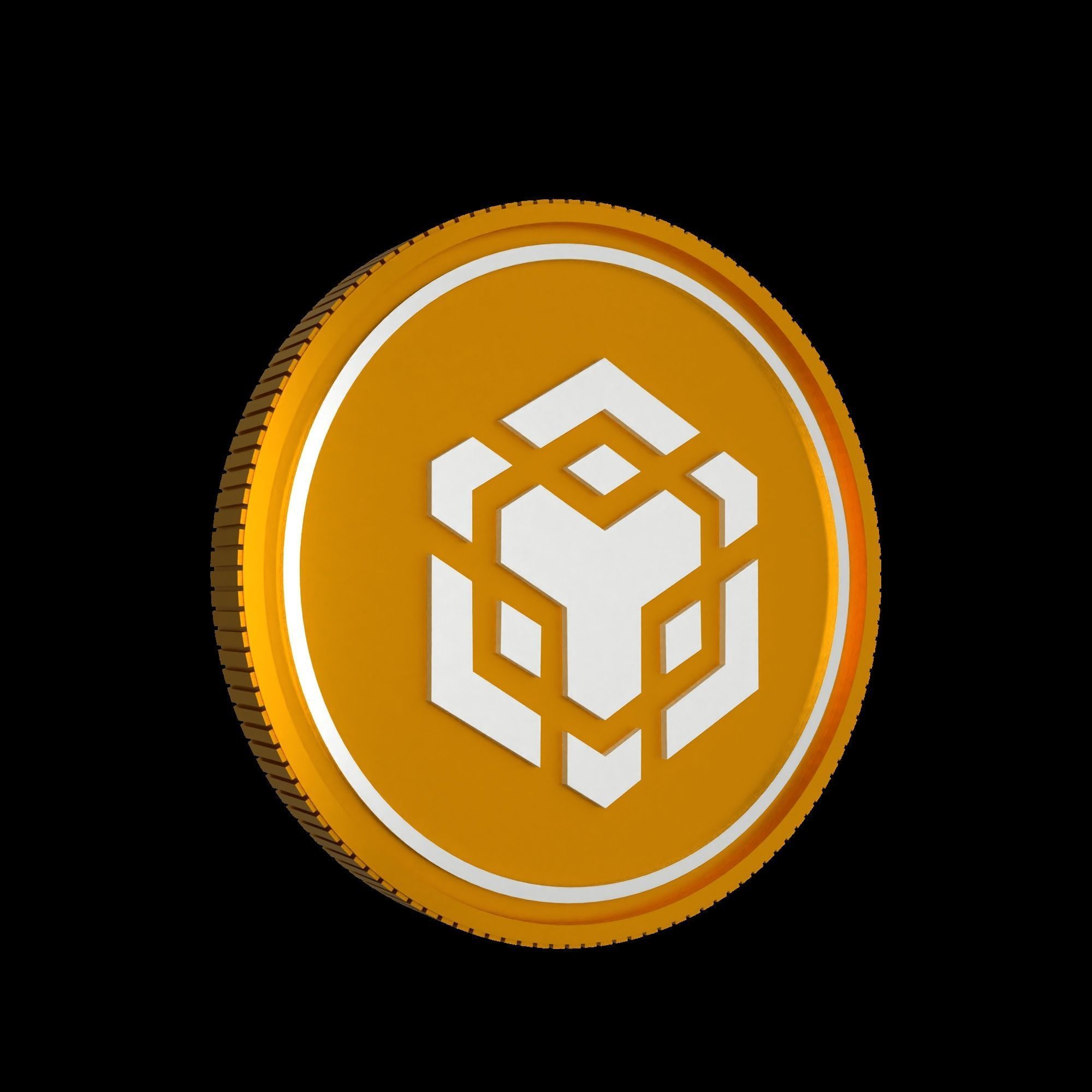 BNB Coin 3D Model 3D model_3