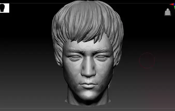Bruce Lee head