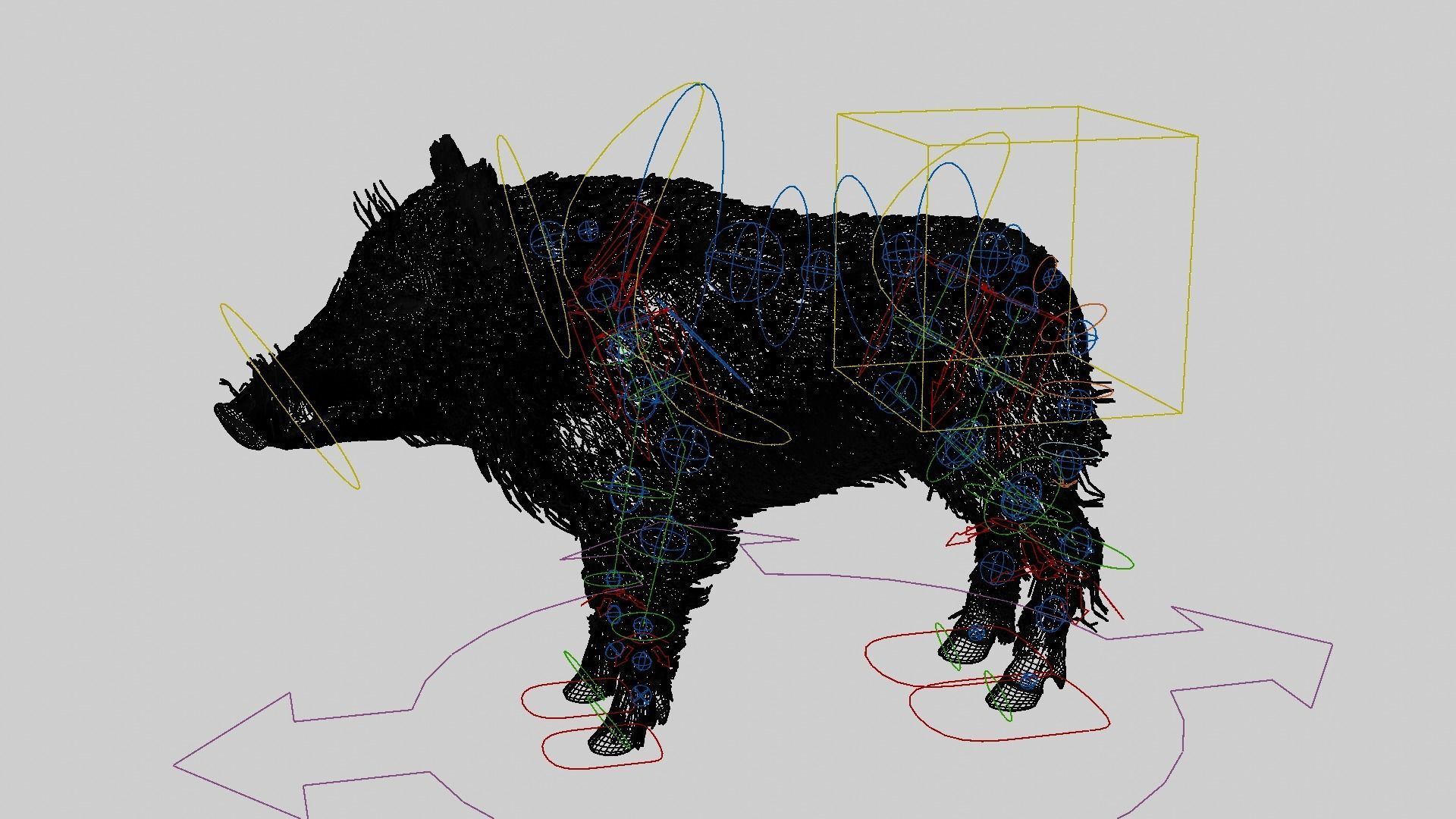 WILD BOAR RIGGED Low-poly 3D model_5