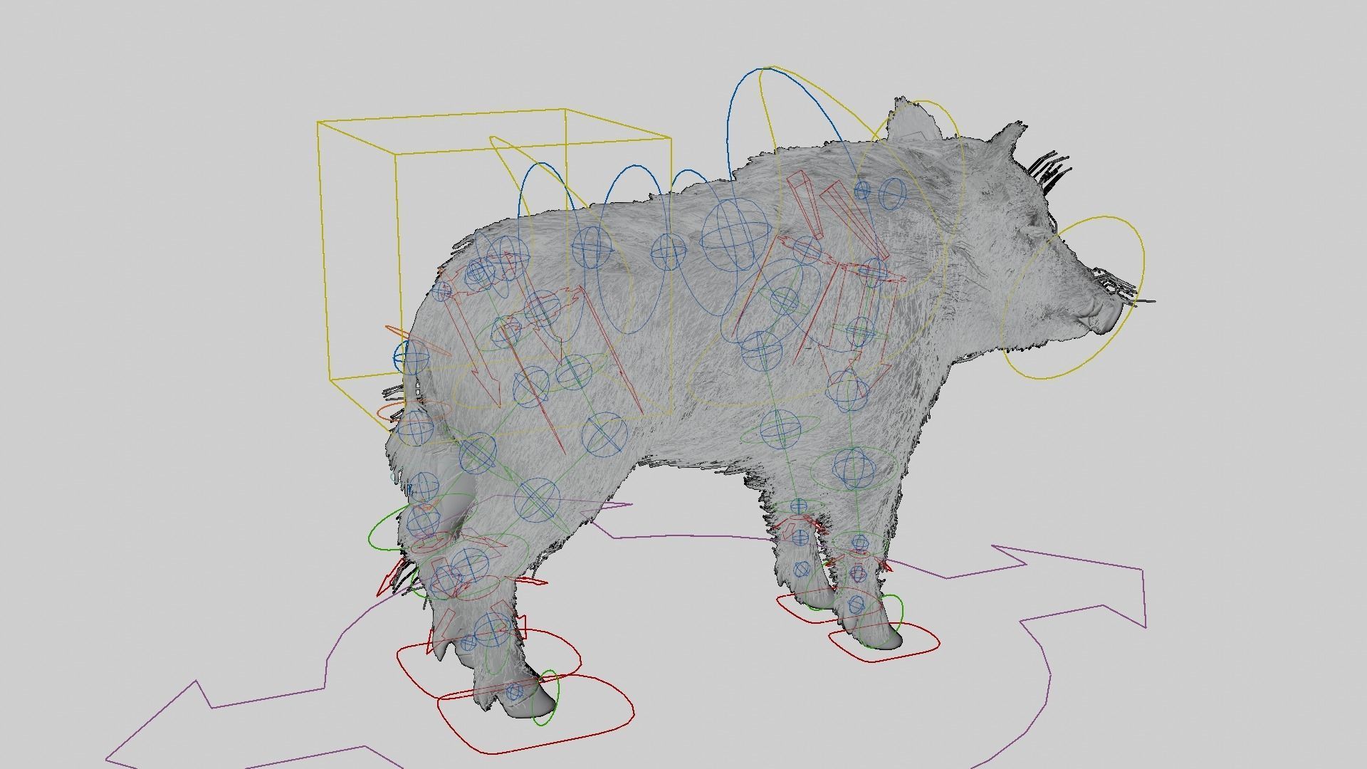 WILD BOAR RIGGED Low-poly 3D model_8