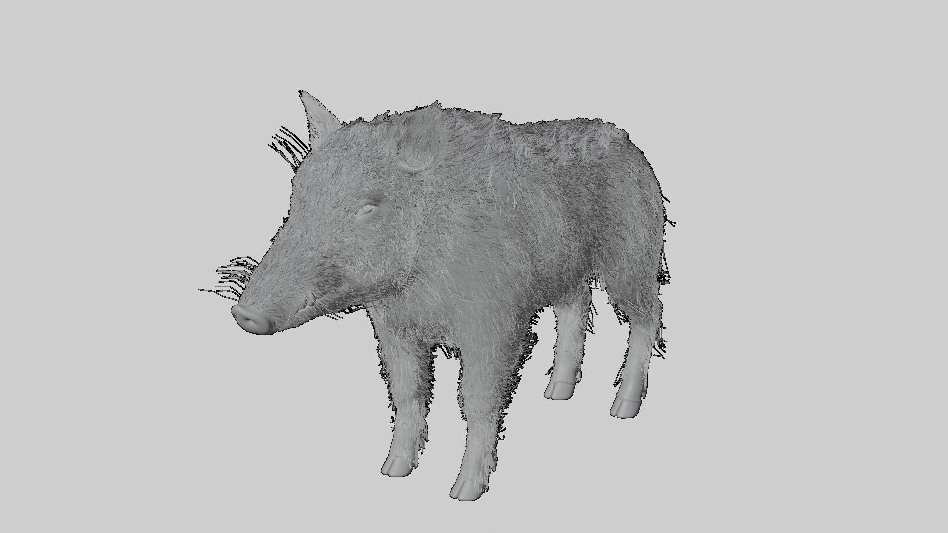WILD BOAR RIGGED Low-poly 3D model_7
