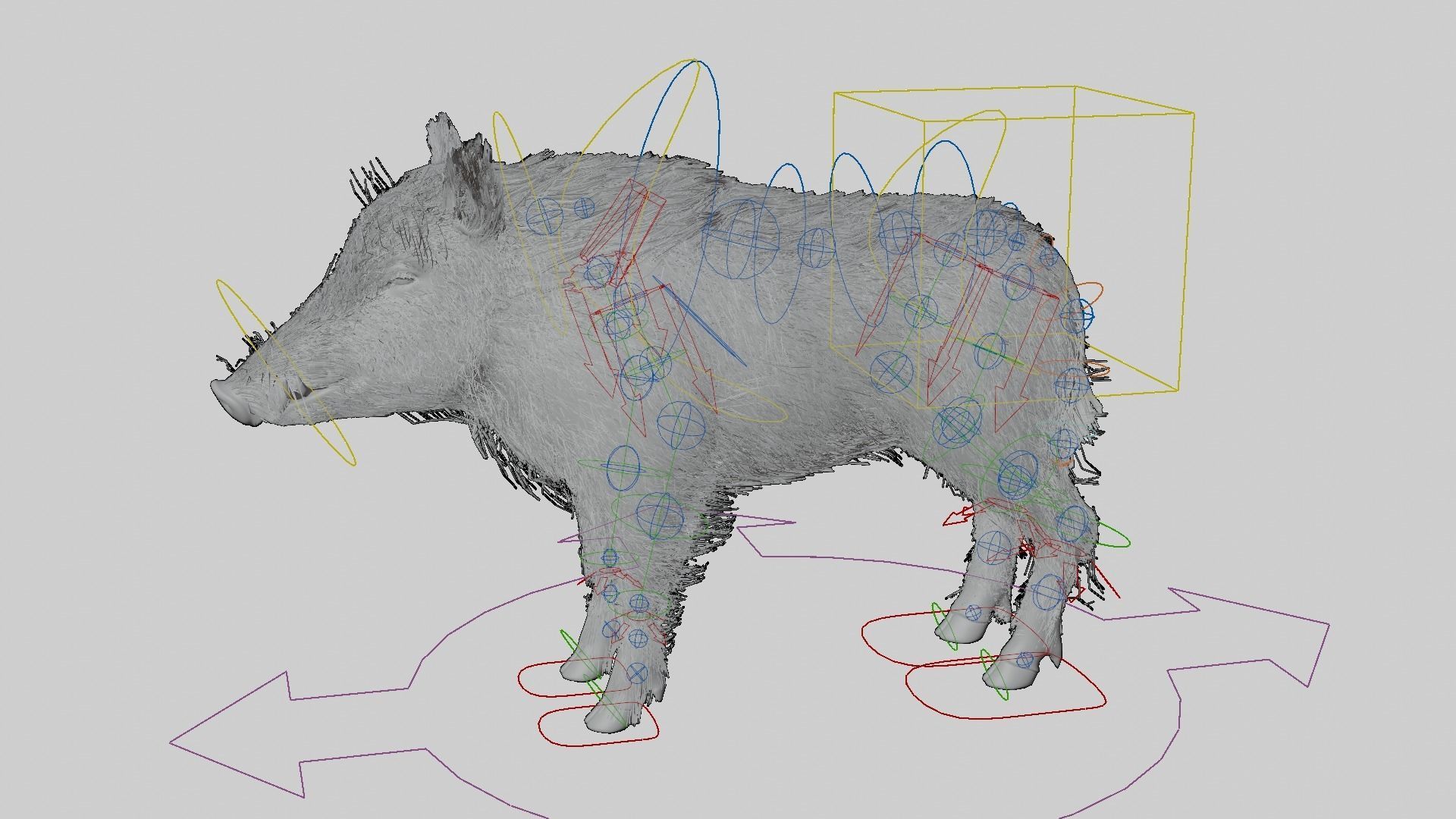 WILD BOAR RIGGED Low-poly 3D model_2