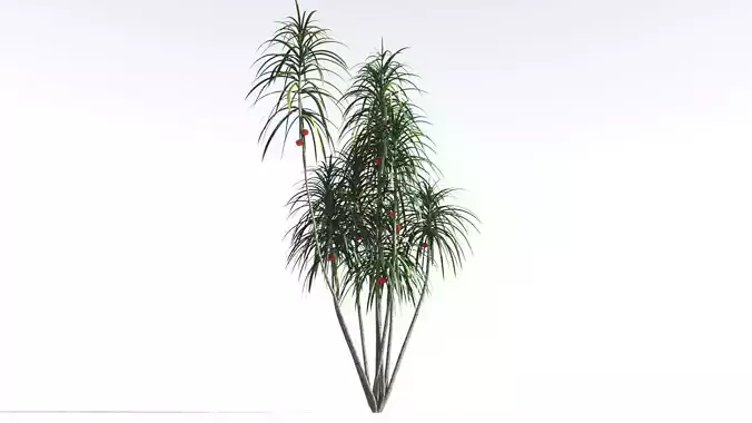 EVERYPlant Scrub Breadfruit 4 --18 Models-- 3D model