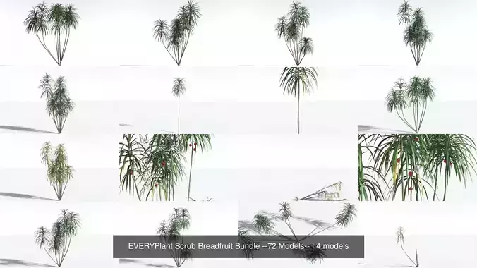 EVERYPlant Scrub Breadfruit Bundle --72 Models-- 3D Model Collection