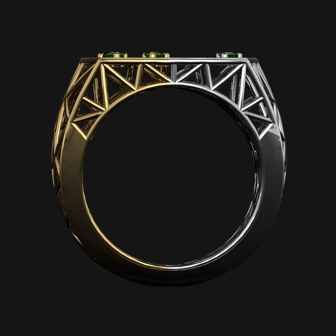 Cage ring 3D print model_1