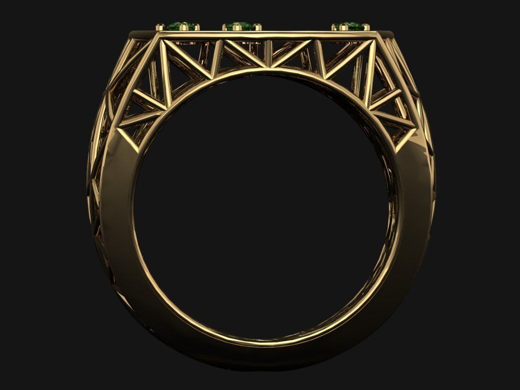Cage ring 3D print model_2
