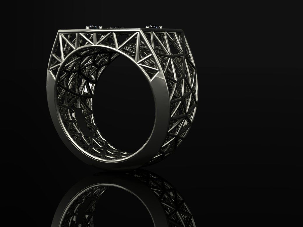 Cage ring 3D print model_10