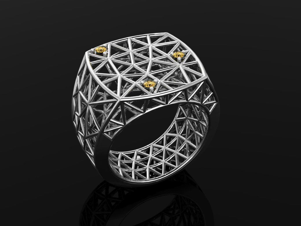 Cage ring 3D print model_9
