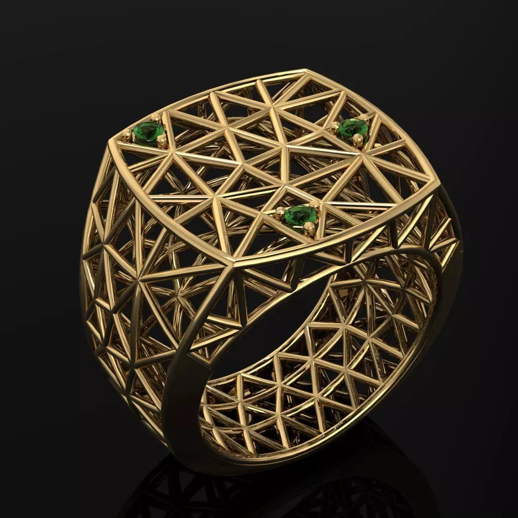 Cage ring 3D print model_0