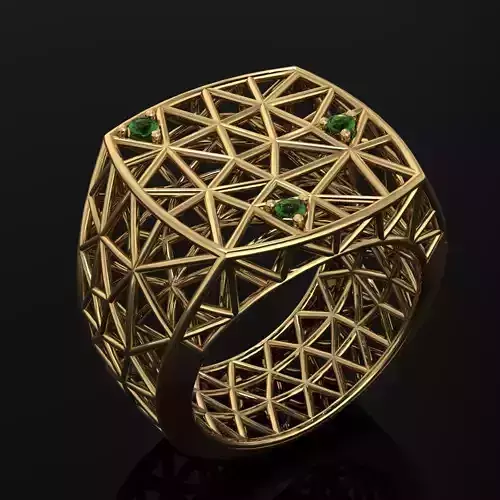 Cage ring 3D print model