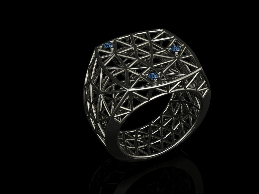Cage ring 3D print model_11