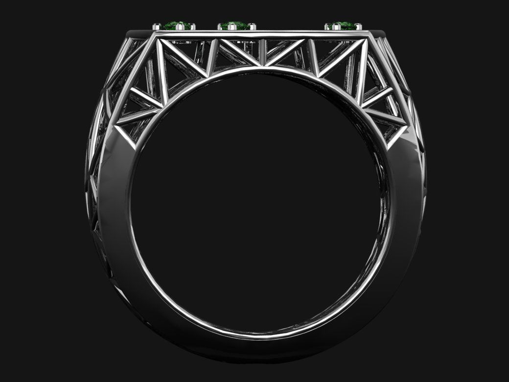 Cage ring 3D print model_13