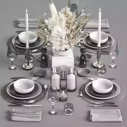 Serving 3 3D model