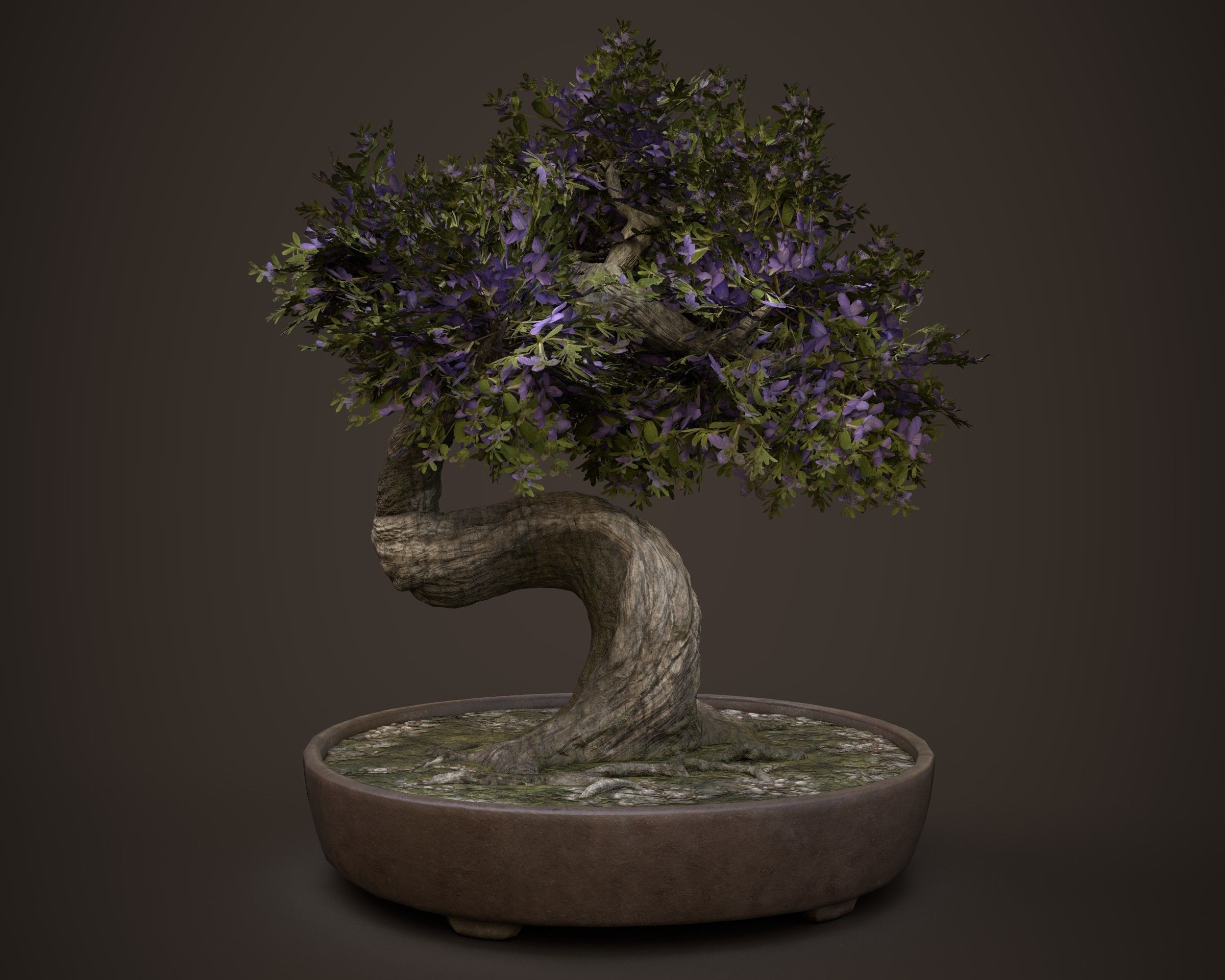 Bonsai game asset Low-poly 3D model_3