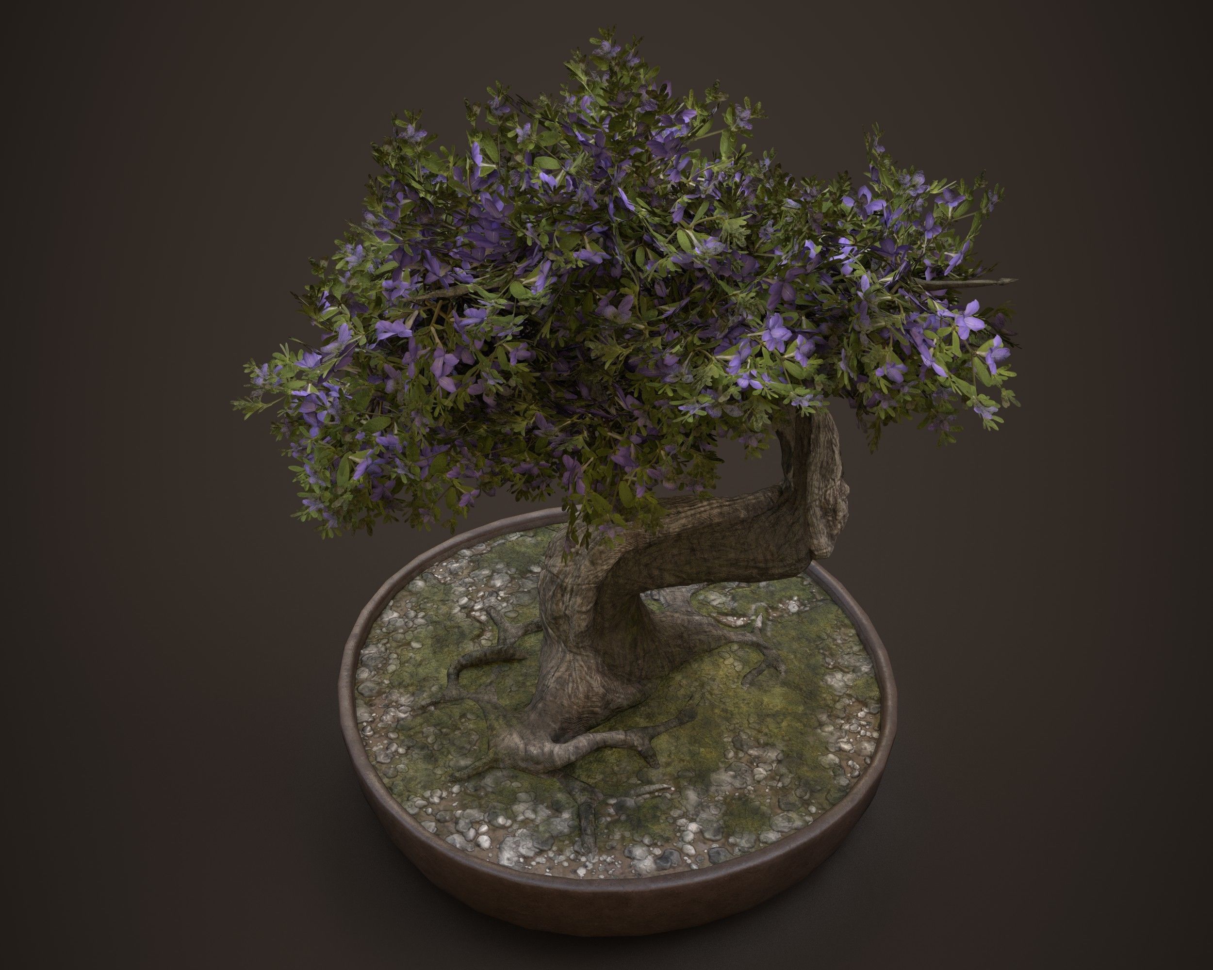 Bonsai game asset Low-poly 3D model_4