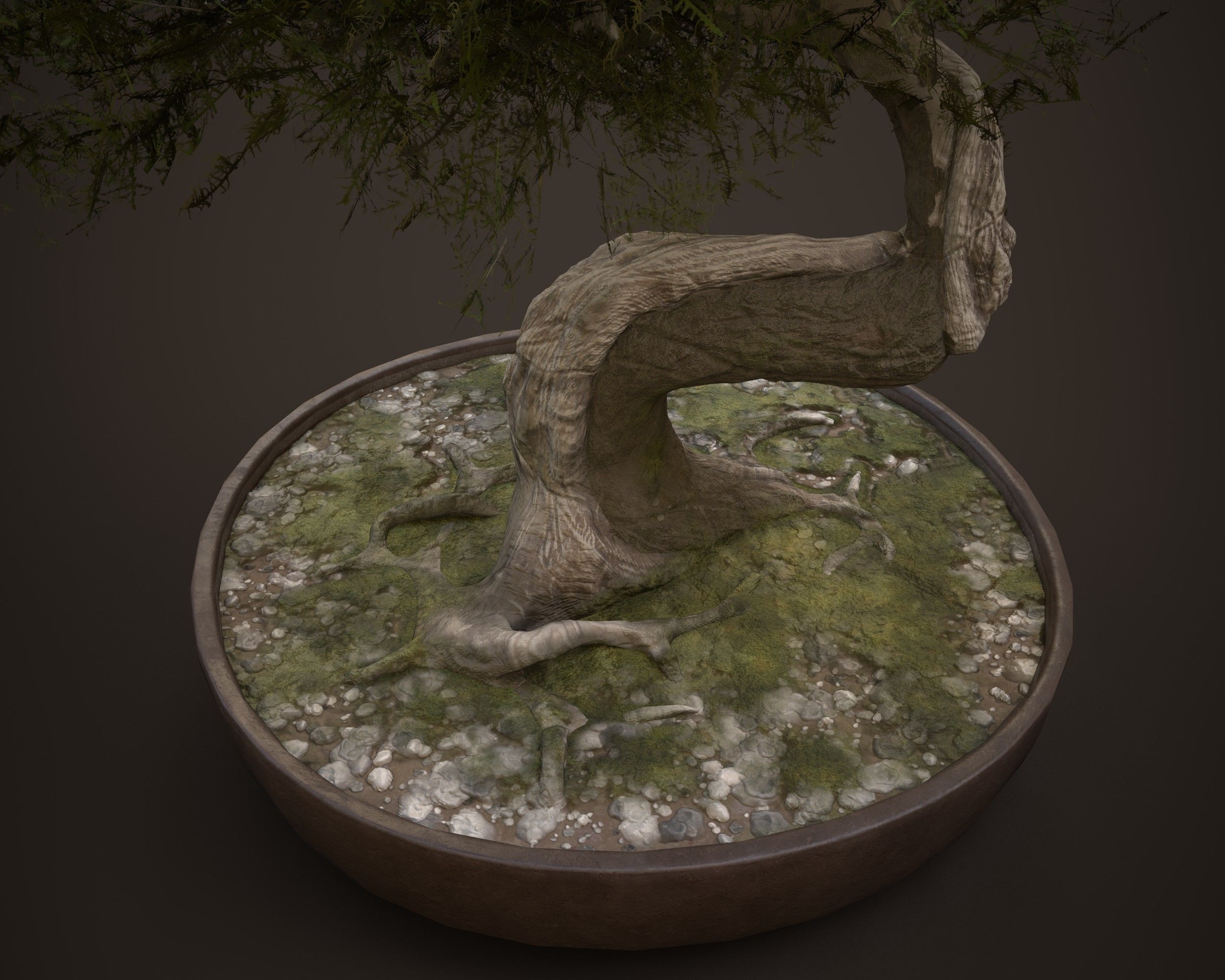 Bonsai game asset Low-poly 3D model_2