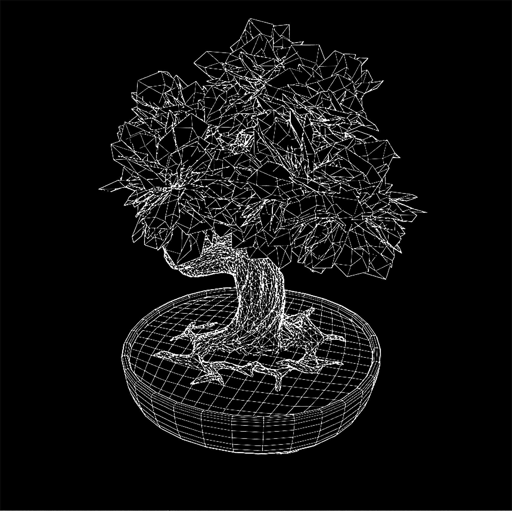 Bonsai game asset Low-poly 3D model_5