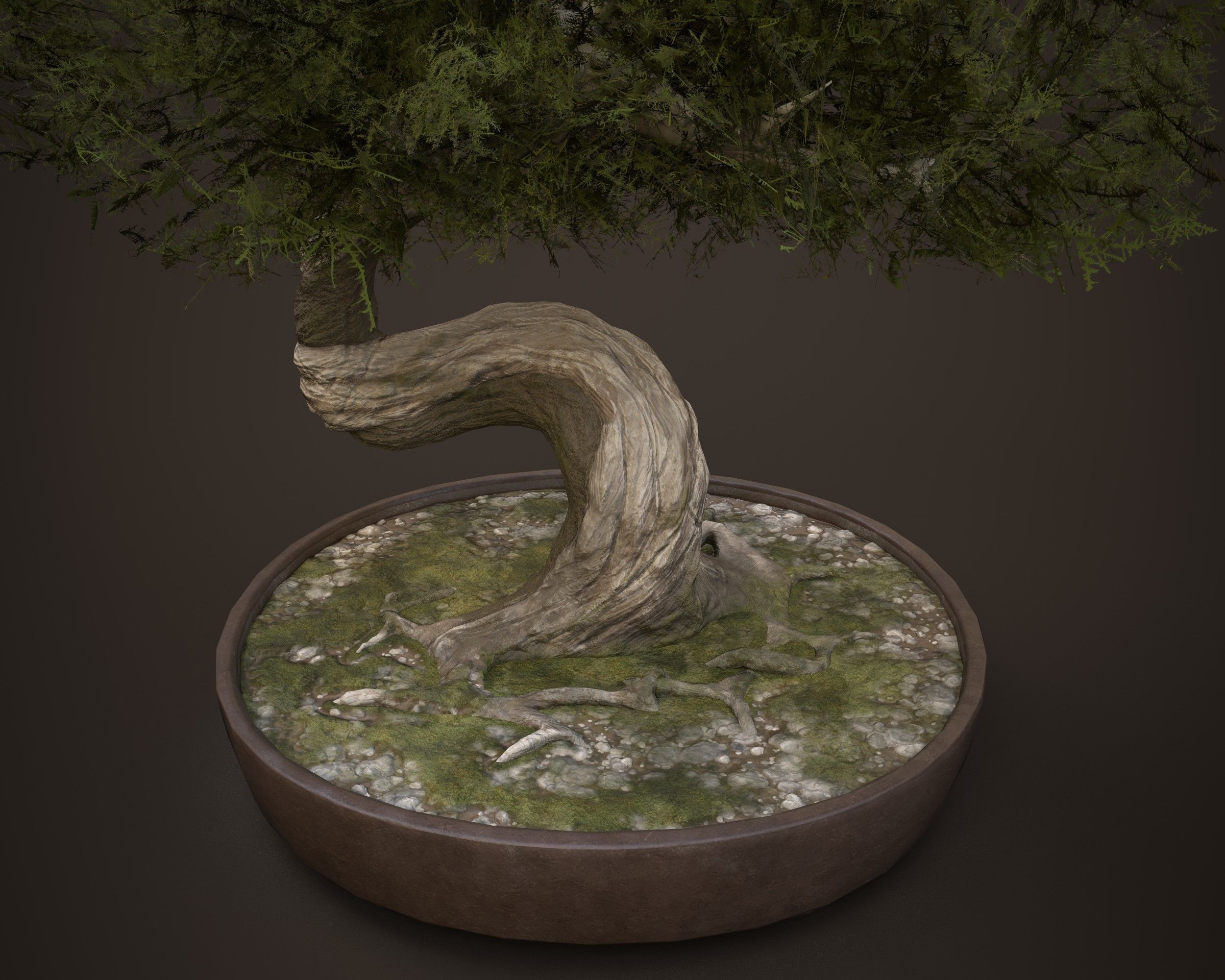 Bonsai game asset Low-poly 3D model_1