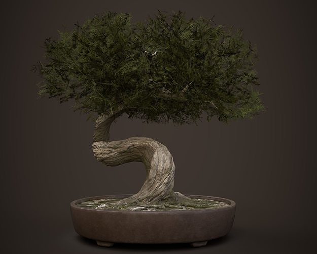 Bonsai game asset Low-poly 3D model