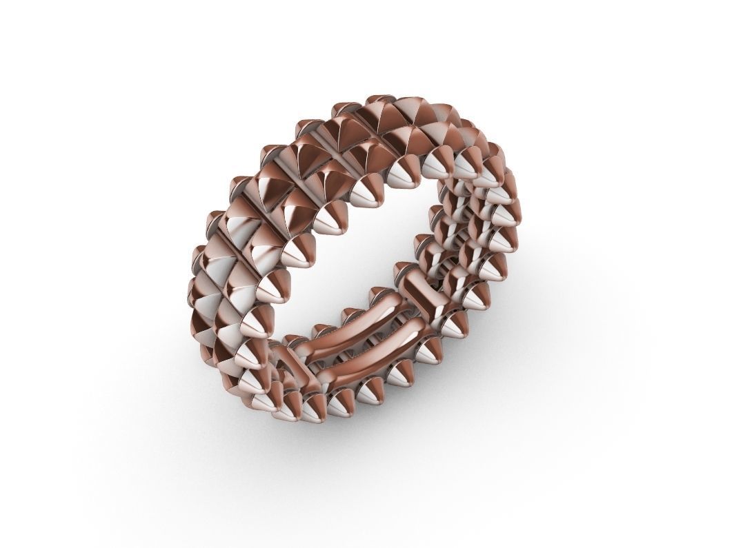 ClasI-I Double Ring 3D print model_13