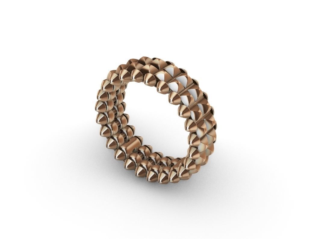 ClasI-I Double Ring 3D print model_14