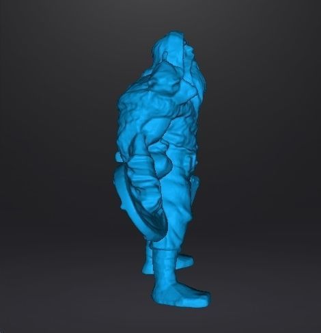 WOLF VIKING AXE AND SHIELD MINIATURE MODEL FANTASY GAMES DND RPG 3D print model_9