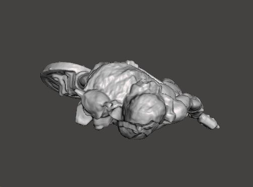 WOLF VIKING AXE AND SHIELD MINIATURE MODEL FANTASY GAMES DND RPG 3D print model_4