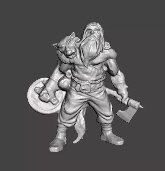 WOLF VIKING AXE AND SHIELD MINIATURE MODEL FANTASY GAMES DND RPG 3D print model_0