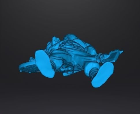 WOLF VIKING AXE AND SHIELD MINIATURE MODEL FANTASY GAMES DND RPG 3D print model_11